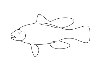 Sea bass fish continuous one line drawing vector illustration. Pro vector