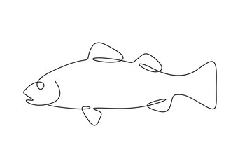 Sea bass fish continuous one line drawing vector illustration. Pro vector