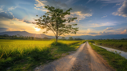 Fototapeta premium A dirt road winding through a green field at sunset in the countryside with mountains in the background