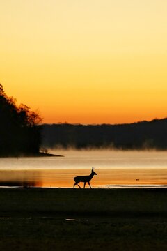 sunset on the lake
