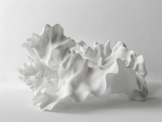 Abstract Sculptural Organic Shapes in Minimalist White Studio