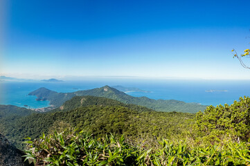 Breathtaking Coastal View from a Lush Mountain Peak