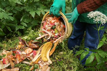 Compost heap pile with bio waste. Farmer hands put  vegetable and fruit food scraps from bucket in...