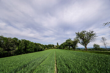Liebe Haag am Hausruck, Austria