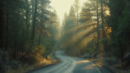 Fototapeta premium Soft rays of morning sunlight filter through the tall pine trees illuminating the road ahead and inviting travelers to embark on a . AI generation.