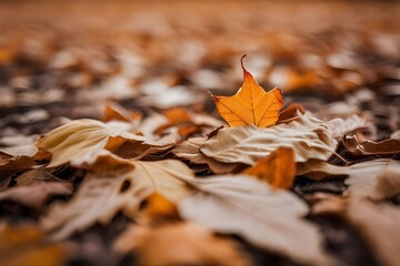 Colorful autumn leaves scattered on the forest floor, creating a vibrant carpet of red, orange, and yellow hues.                         