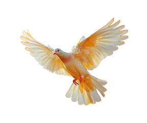 Naklejka premium Golden_pigeon_flying