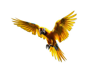 A colorful illustration of a yellow-winged macaw and a golden eagle, featuring detailed feathers and wings, in a vibrant cartoon style