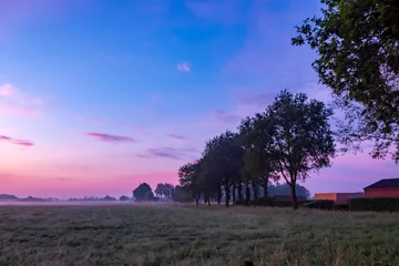 Fototapete Rund Aubergine In the tranquil morning countryside, trees and a pastel sky form a peaceful landscape at dawn, evoking serenity  © Bjorn B