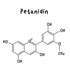 Fototapeta premium petunidin chemical structure illustration