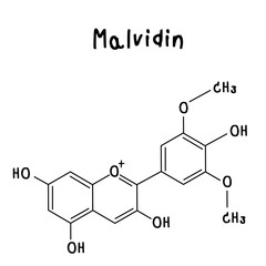 Malvidin chemical structure illustration