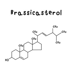 Fototapeta premium Brassicasterol chemical structure illustration