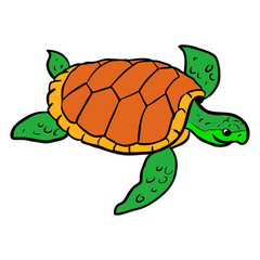 turtle vector illustration