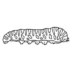 caterpillar line vector illustration