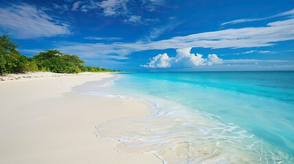 Obraz premium Tropical paradise beach with white sand and crystal clear blue water