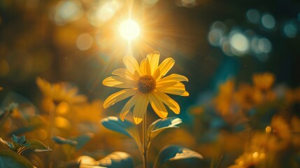 Close-up nature view of vibrant yellow flower in sunlight surrounded by lush green foliage, ideal for backgrounds or wallpapers