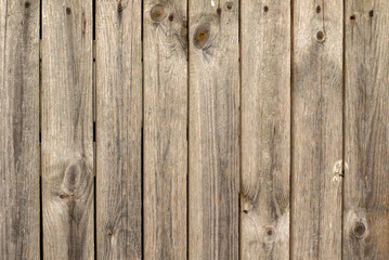 Old gray wooden fence background.