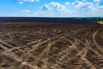 Plowed agricultural field at summer. Rural landscape