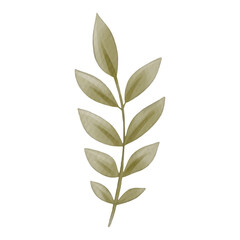 flowers painted with watercolors on white