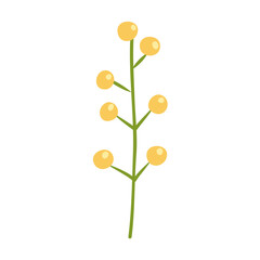 Spring blooming flowers on white background