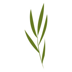 Spring blooming flowers on white background