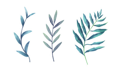 Flowers painted with watercolors set on white