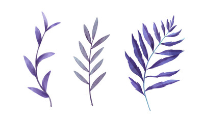 Fototapeta premium Flowers painted with watercolors set on white