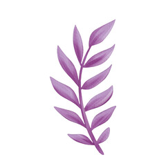 flowers painted with watercolors on white