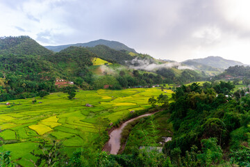 Fototapeta premium Beautiful landscape view with rice paddy fields and morning fog in Nan, Thailand