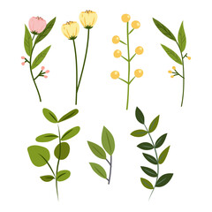 Beautiful spring flower collection on white background