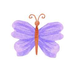 Watercolor butterfly illustration on white