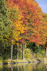 Obraz premium In autumn, a picturesque lake is enveloped by trees displaying vibrant colorful leaves, creating a stunning natural landscape with water, plants, and sky
