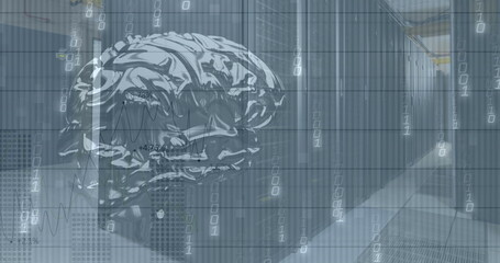 Digital brain graphic overlaying rows of servers in data center