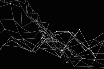 spider web on the dark background