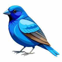 Obraz premium blue bird isolated