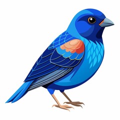 Obraz premium blue bird isolated