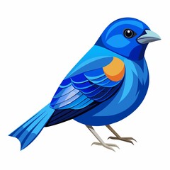 Obraz premium blue bird isolated