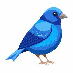 Obraz premium blue bird isolated