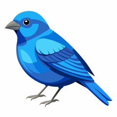 Obraz premium blue bird isolated