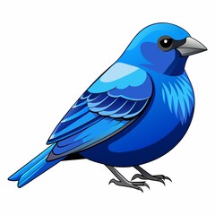 Obraz premium blue bird isolated
