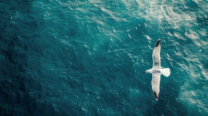 Obraz premium a lone seagull soaring above a vast expanse of cerulean waters, blue water background pattern.