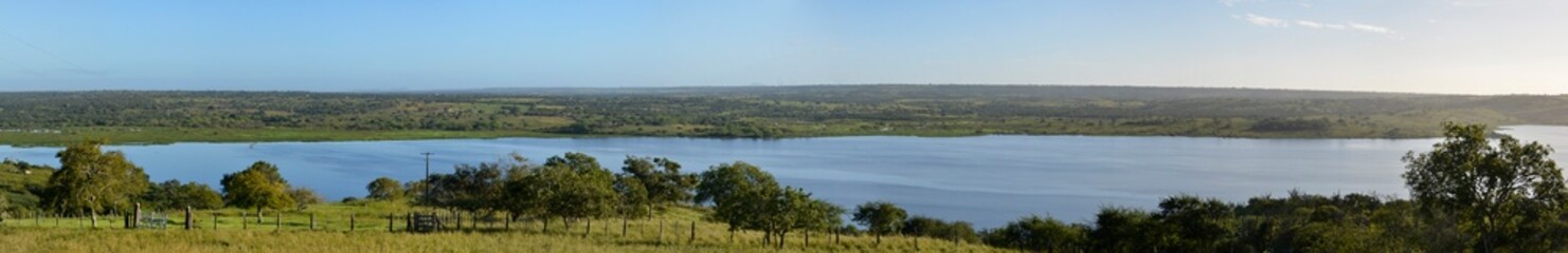 Panoramic photo of a lush green hay plantation under rural blue sky, grass texture and beautiful lake in the background. Beautiful morning light on green grass farm. Pedra do Cavalo Dam Lagoon