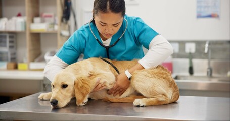 Woman, vet and checkup with dog for heart beat, healthcare or examination at pet clinic. Female...