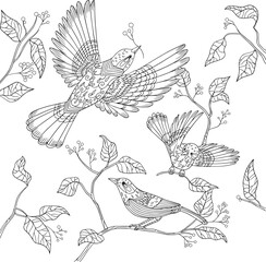 Three birds with ornamental feather fly between leaves. Coloring book page freehand sketch for adult anti stress. Vector line artwork with doodle and zentangle elements.