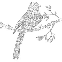 Colouring book page with ornamental bird on tree with doodle elements. Outline antistress for adult with ethnic motives with bird illustration. Vector artwork isolated on white.