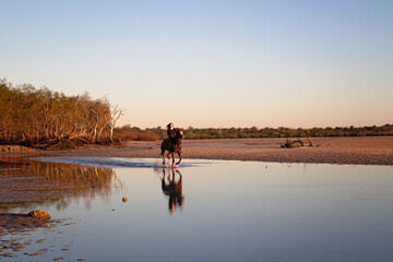 woman riding horse on beach at sunrise dawn, Woodgate Beach, Queensland, Australia