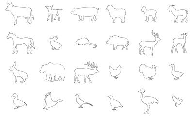 Vector outline icon, animals. Cow, calf, pig, sheep, lamb, goat, horse, rabbit, nutria, boar, deer, roe deer, hare, bear, elk, chicken, turkey, goose, duck, mallard, pheasant, partridge, ostrich,dove
