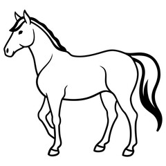 black horse vector illustration