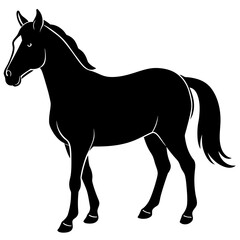 Obraz premium black horse vector illustration