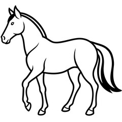 Fototapeta premium horse illustration
